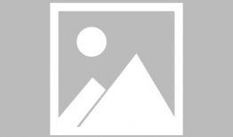 中南奈雪最新爆料新闻,中南区域独家爆料揭秘