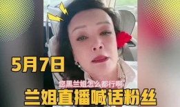 兰姐黑粉爆料视频,真相与争议并存